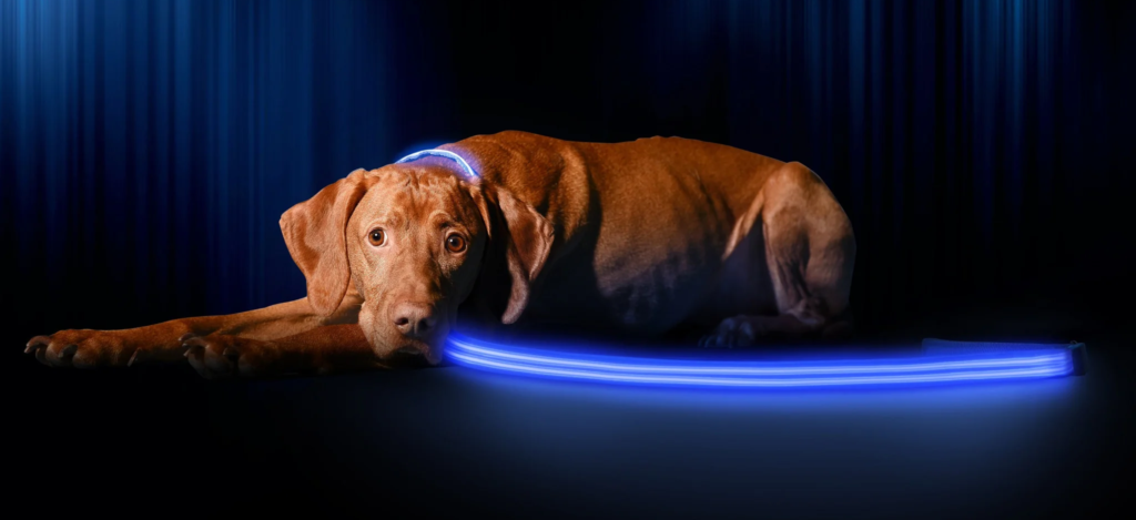 Um cachorro marrom deitado no chão na frente de uma cortina azul. O cachorro usa um colar e uma guia que brilham uma luz LED azul. O texto usa isso como uma piada com o conceito de vira-latismo gamer
