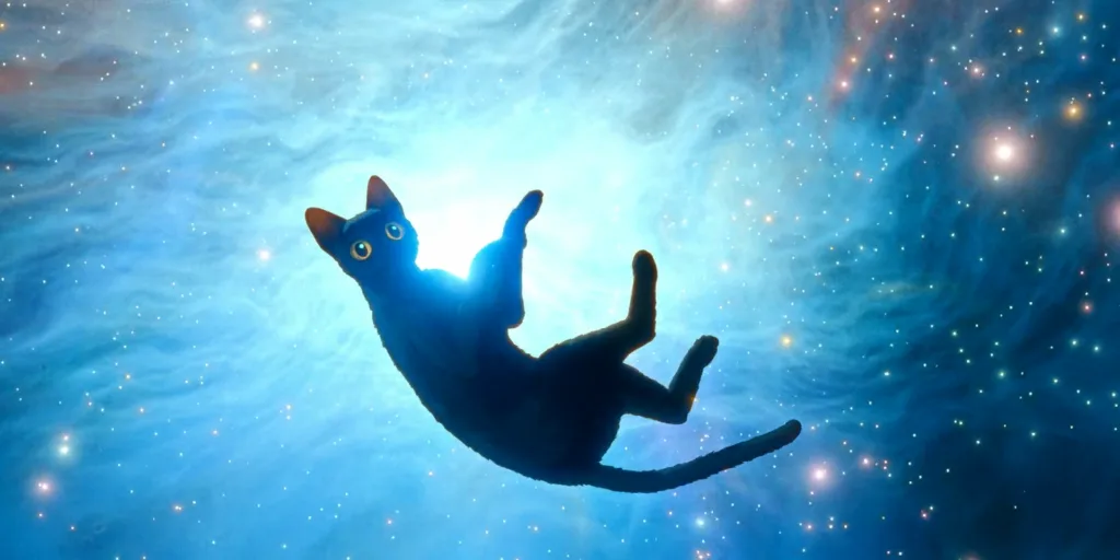 Na imagem tem o gato cinza que protagoniza o filme Flow. O gato flutua no que parece ser um cosmo azul com uma luz branca brilhando atrás dele