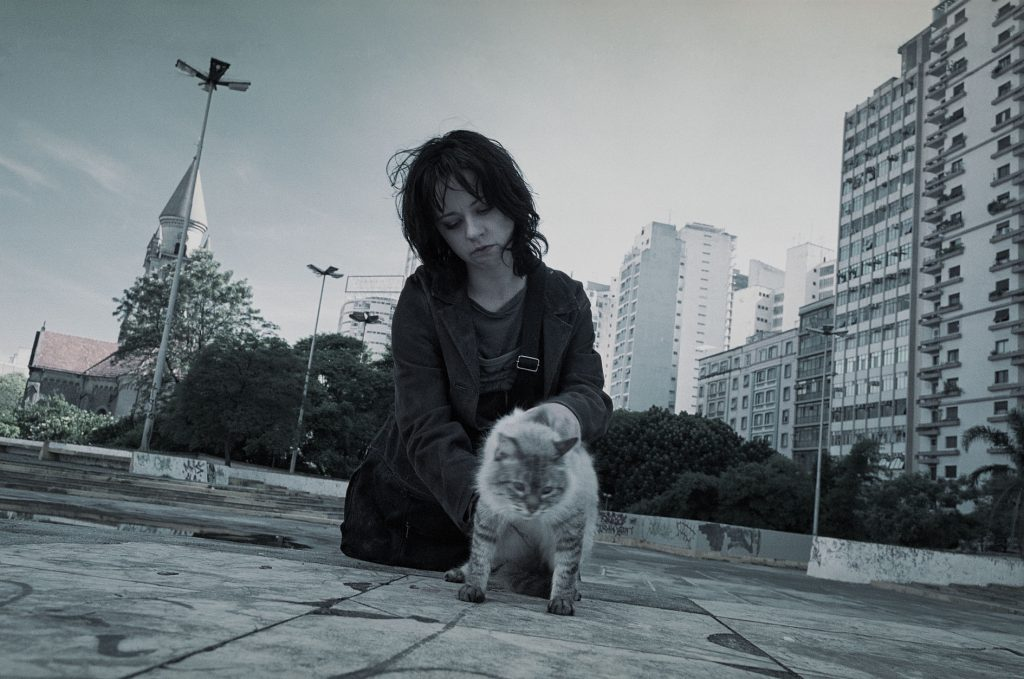 Imagem de Nina, filme brasileiro. A protagonista homônimo se ajoelha no chão de praça e solta um gato cinzento na rua