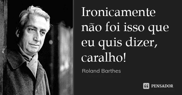 Meme com uma falsa citação do Roland Barthes dizendo que não foi isso que ele quis dizer, uma referência ao fato que muita gente na internet entendeu o ensaio de A Morte do Autor dele errado