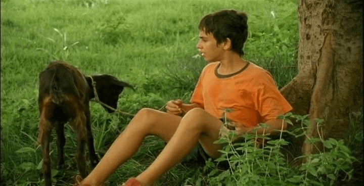 A Oitava Cor do Arco Íris, filme de Amauri Tangará